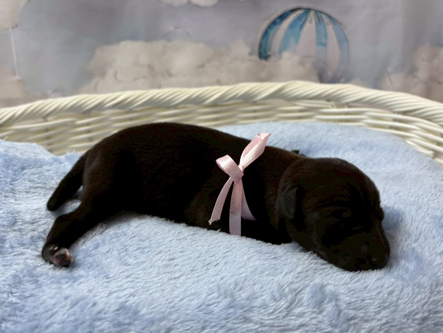 赤ちゃん写真1-2