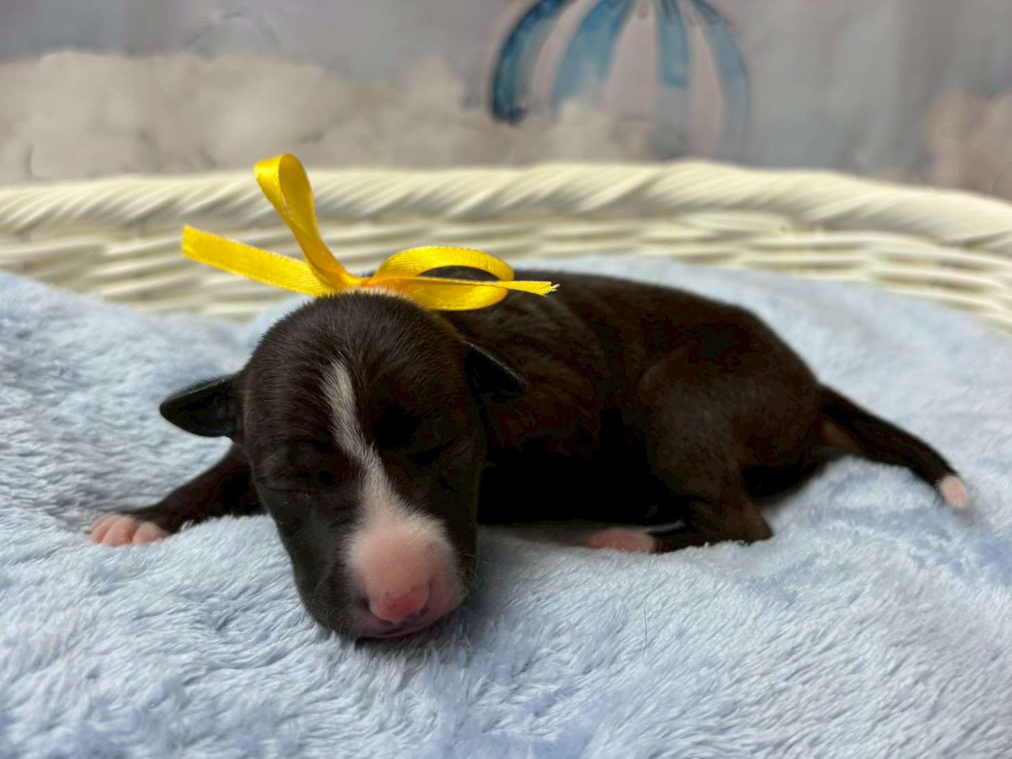 赤ちゃん写真1-2