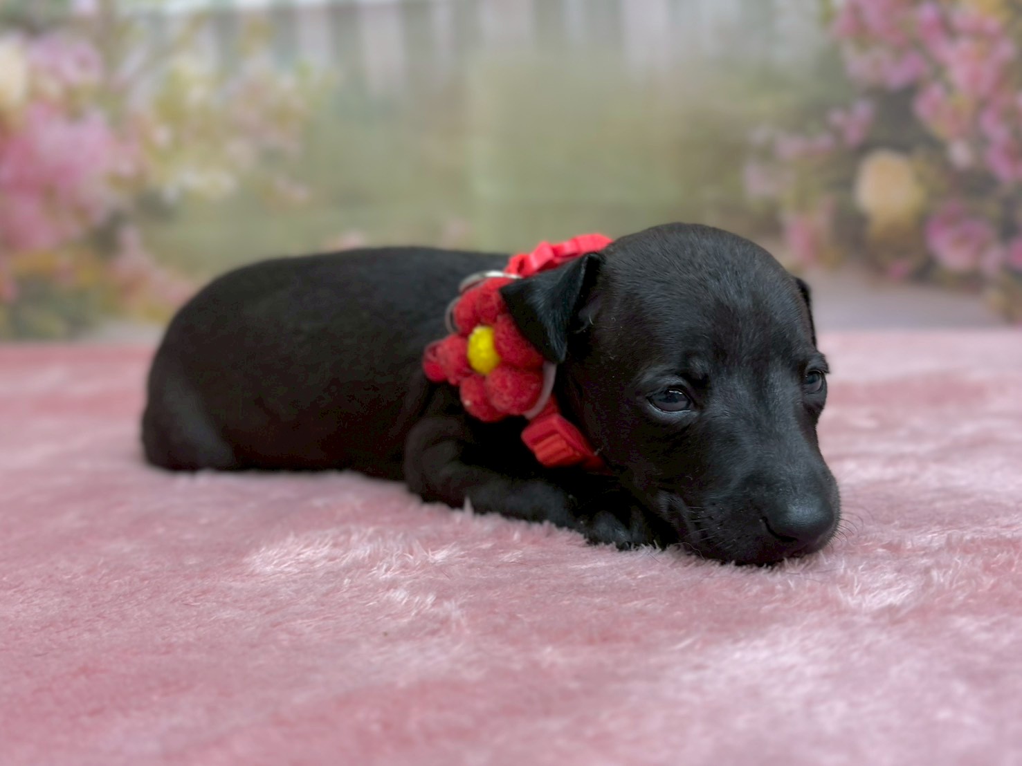 赤ちゃん写真2-2