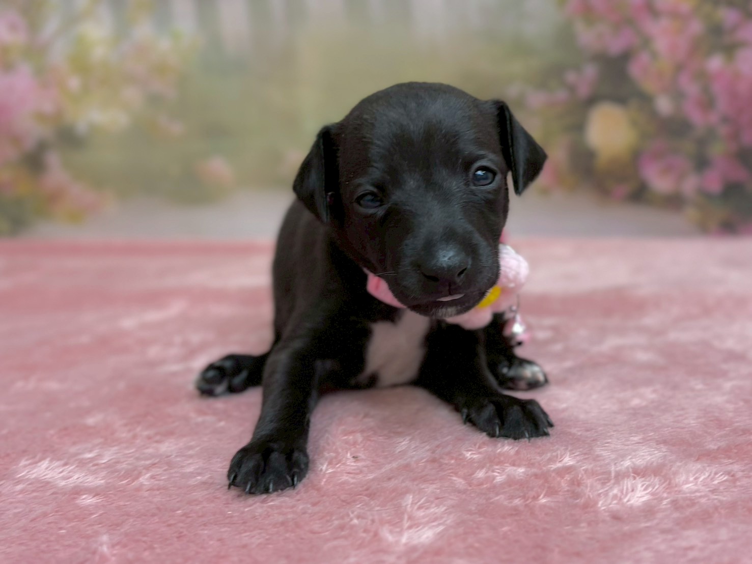 赤ちゃん写真2-1