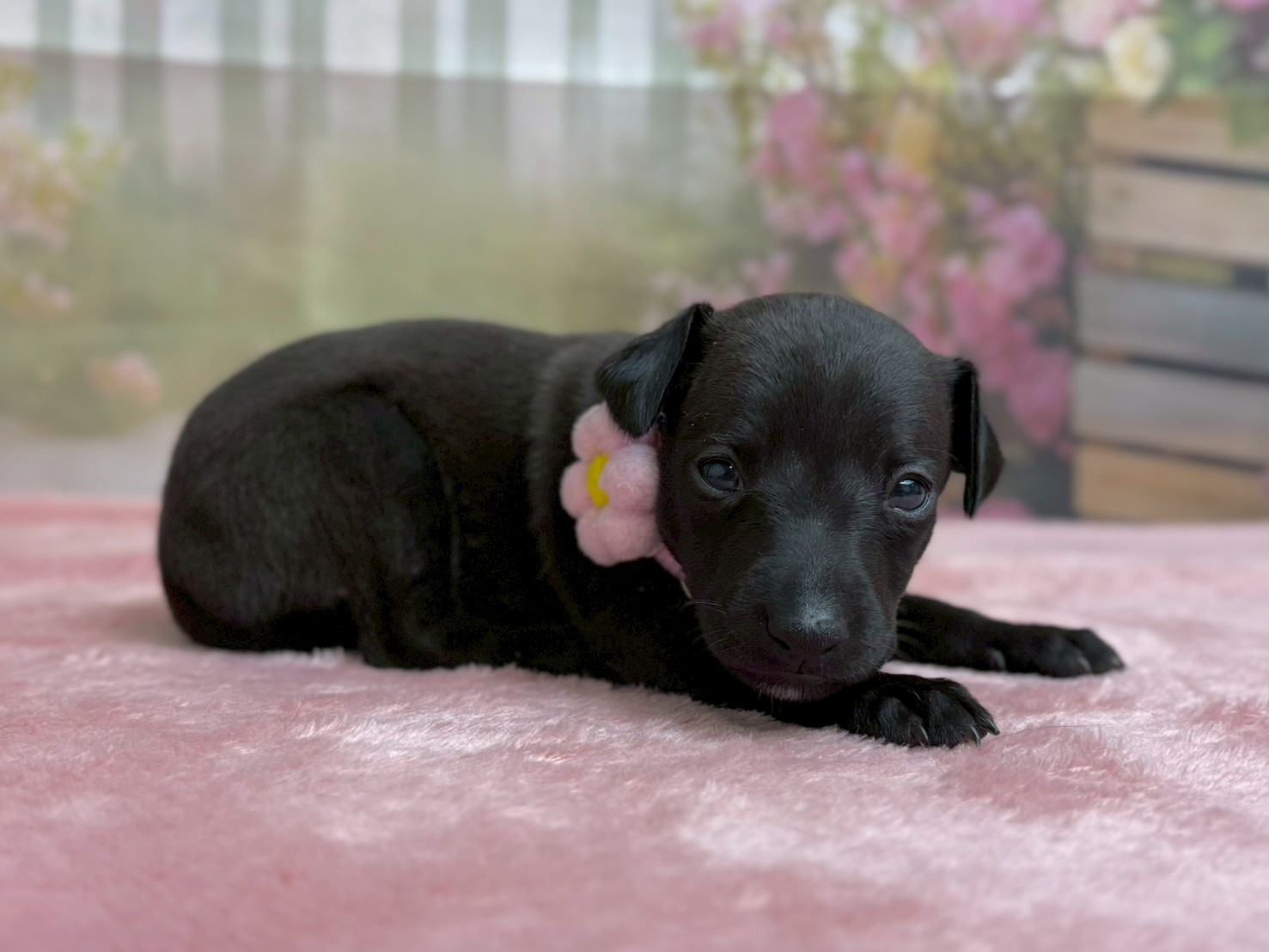 赤ちゃん写真2-2