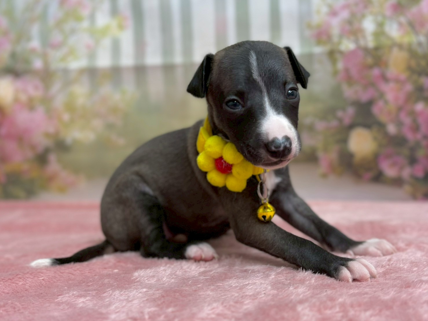 赤ちゃん写真2-2