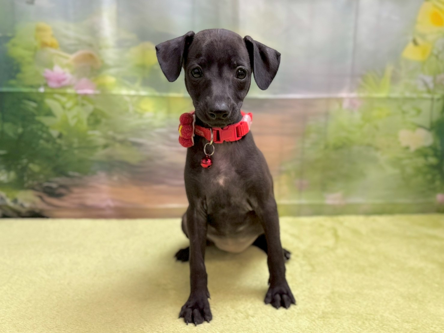 赤ちゃん写真3-1