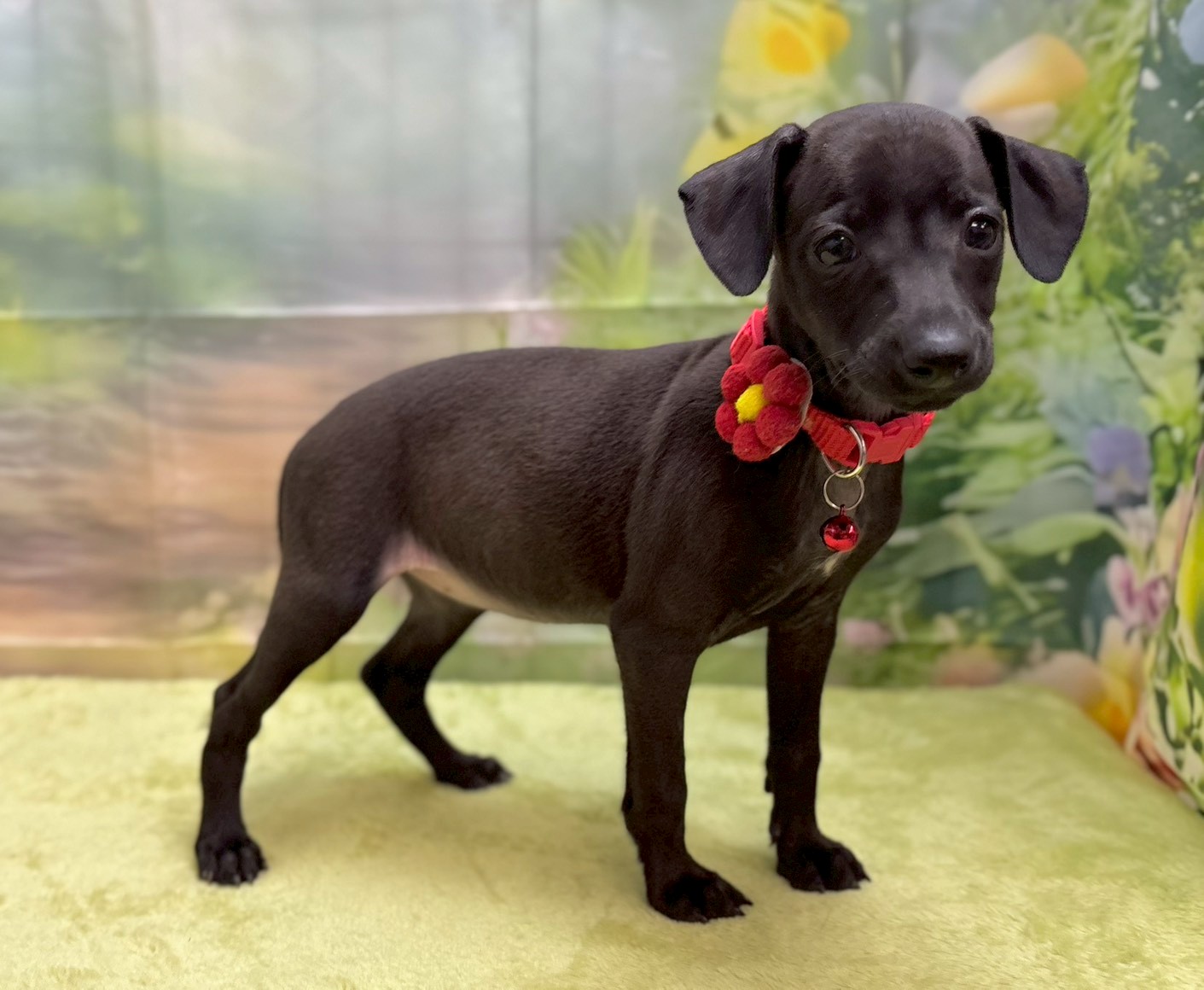 赤ちゃん写真3-2