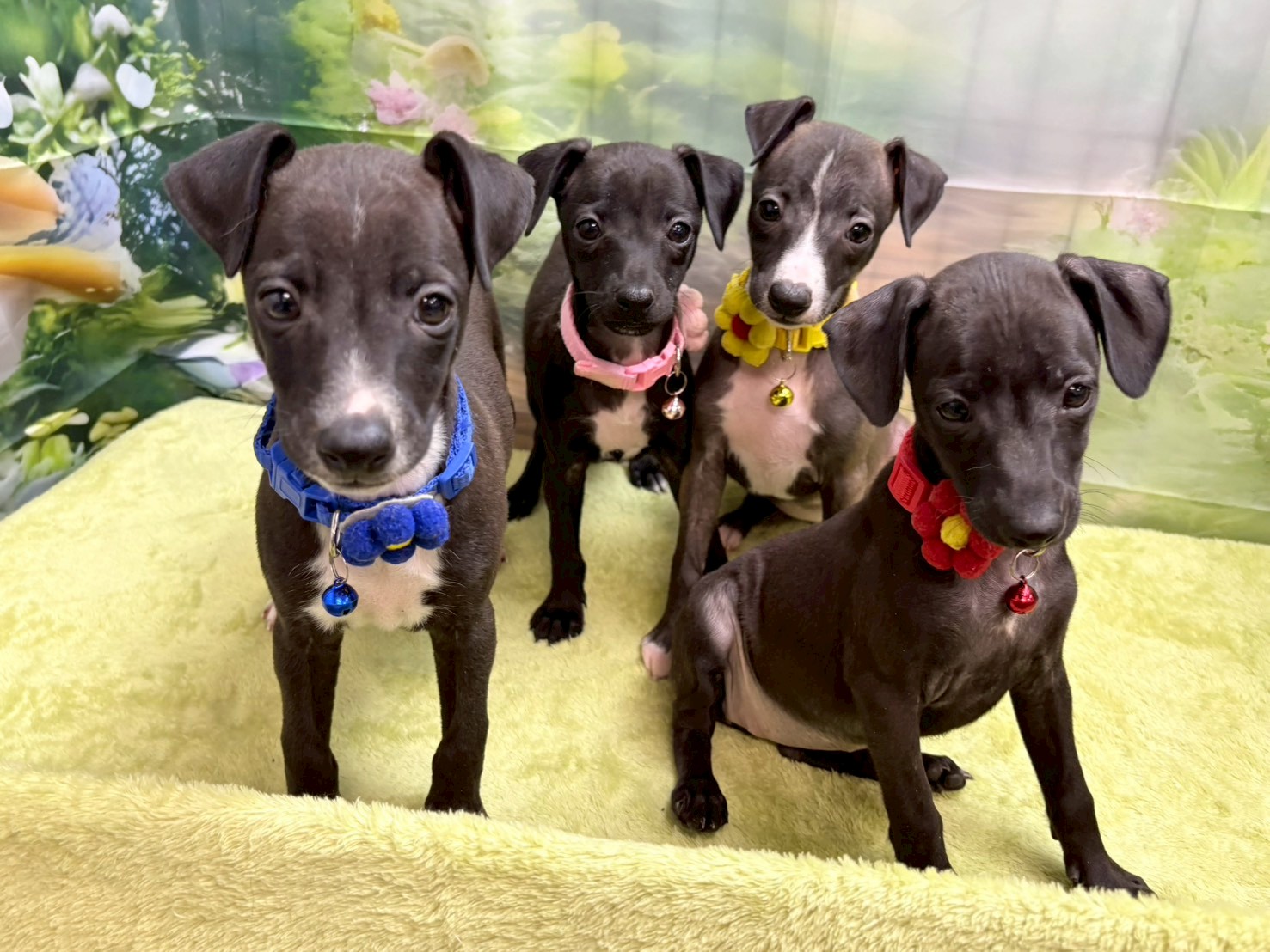 赤ちゃん写真3-3