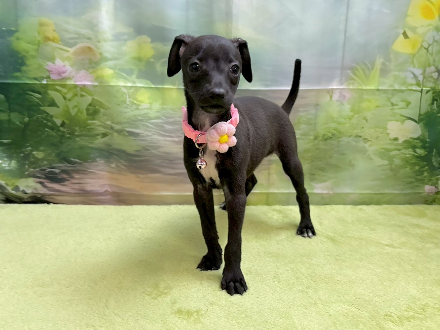 赤ちゃん写真3-1