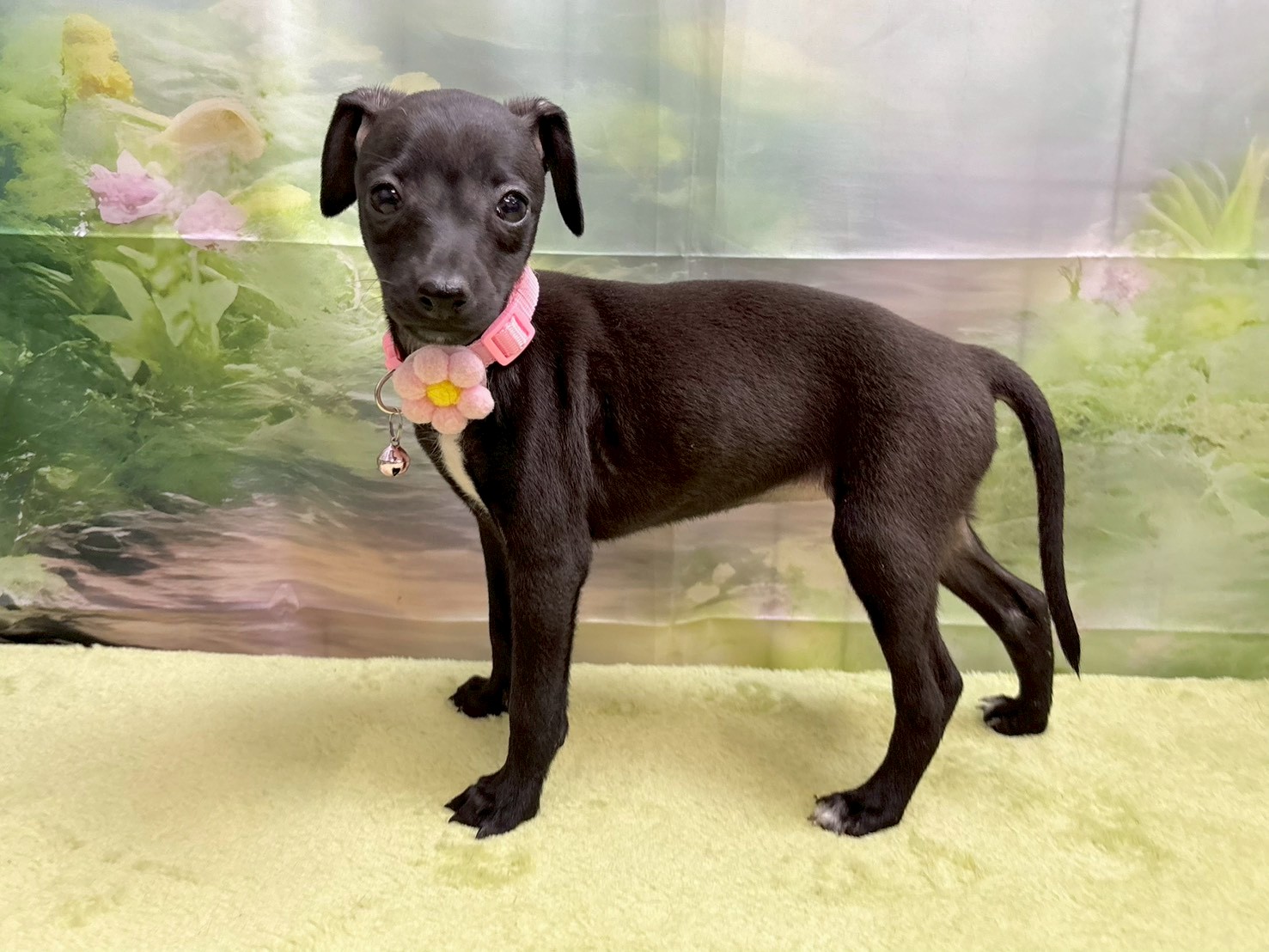 赤ちゃん写真3-2