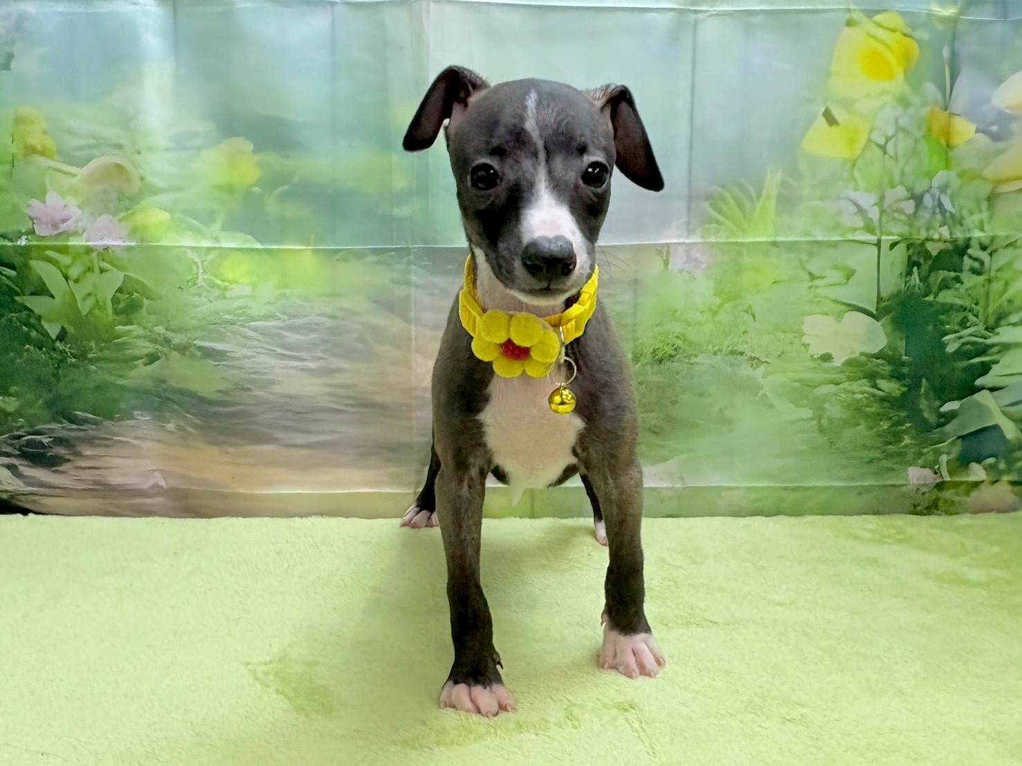 赤ちゃん写真3-1