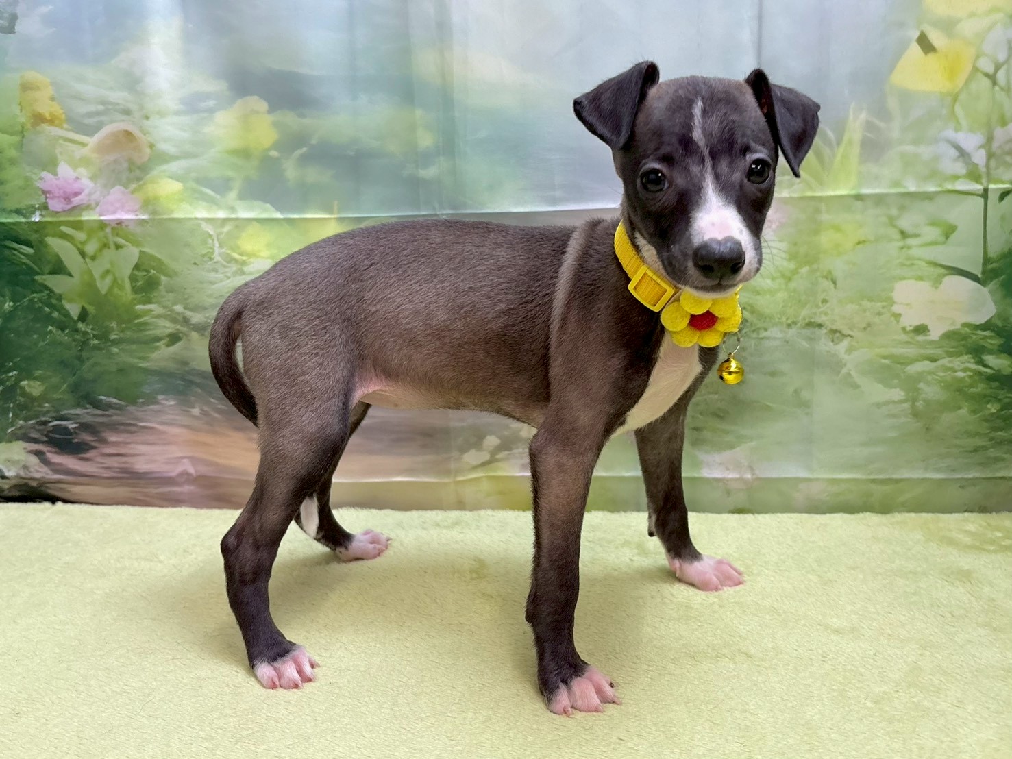 赤ちゃん写真3-2