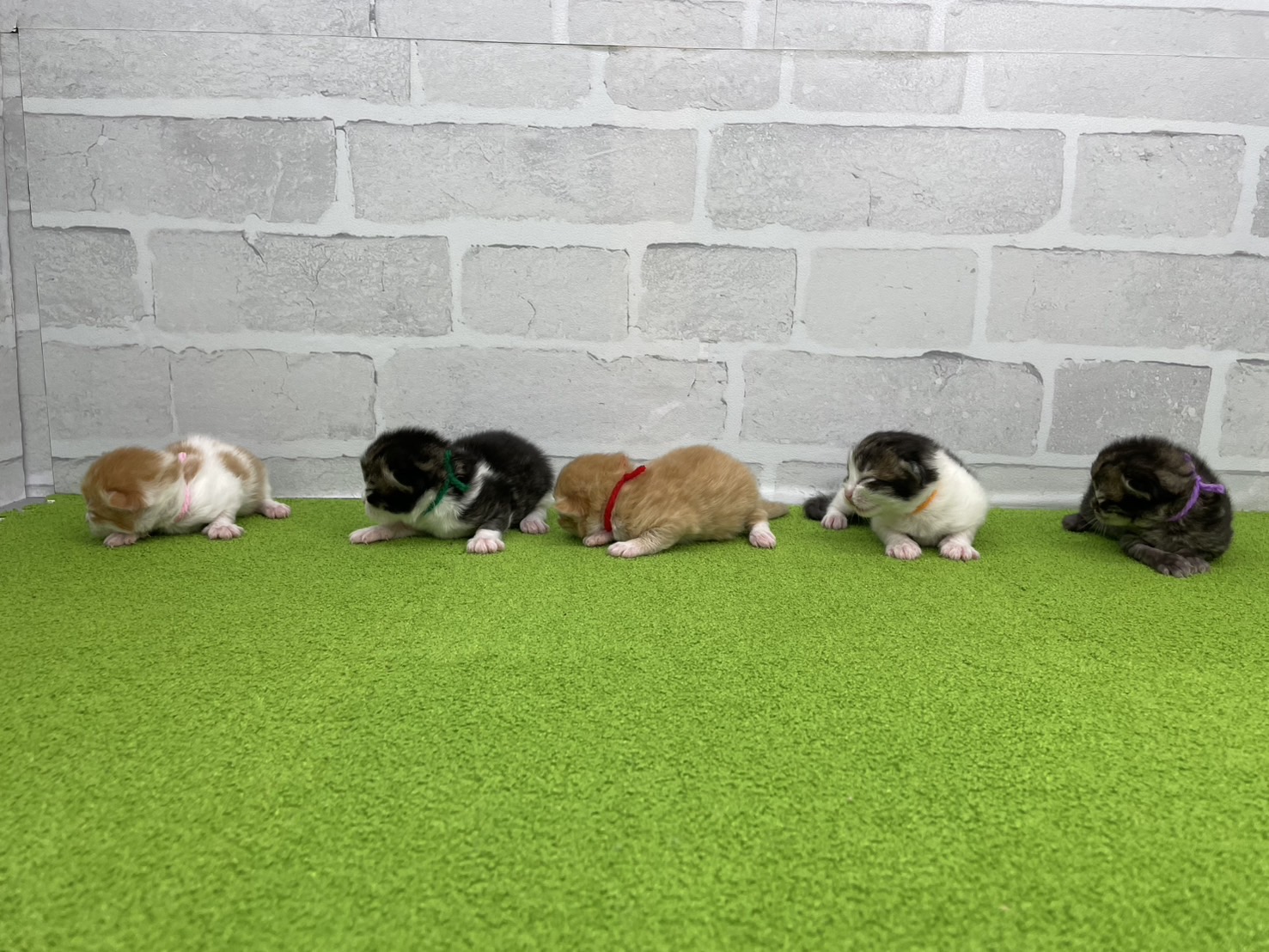 赤ちゃん写真1-3