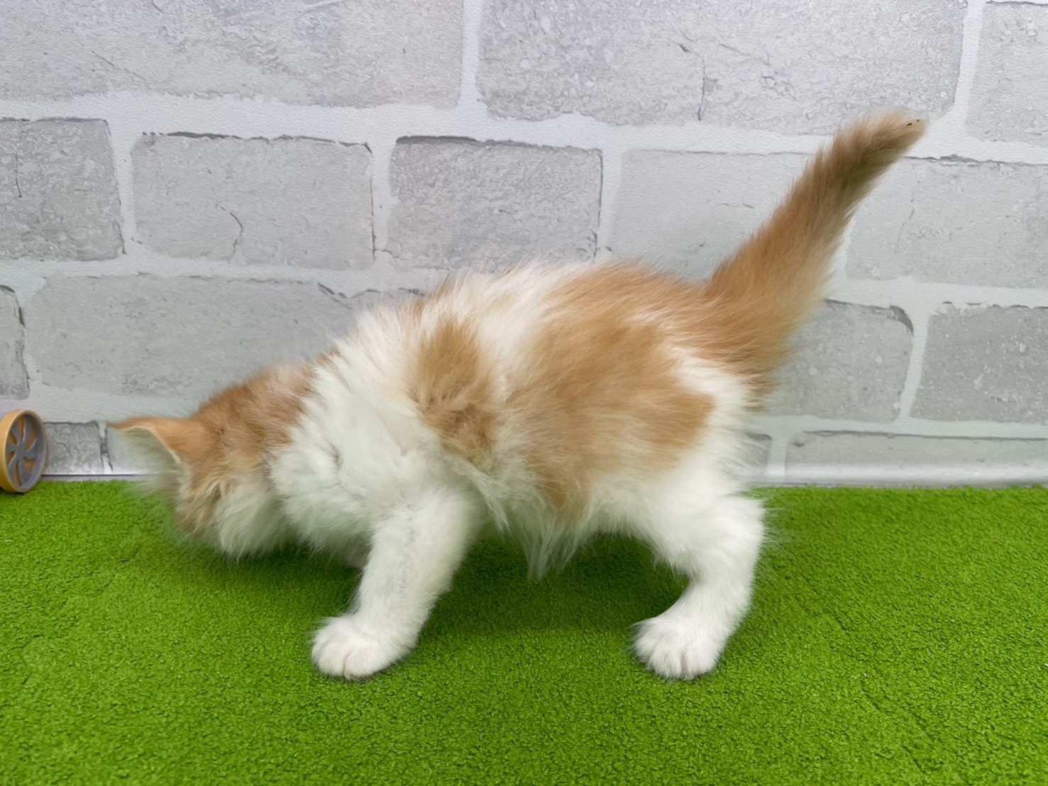 赤ちゃん写真2-2