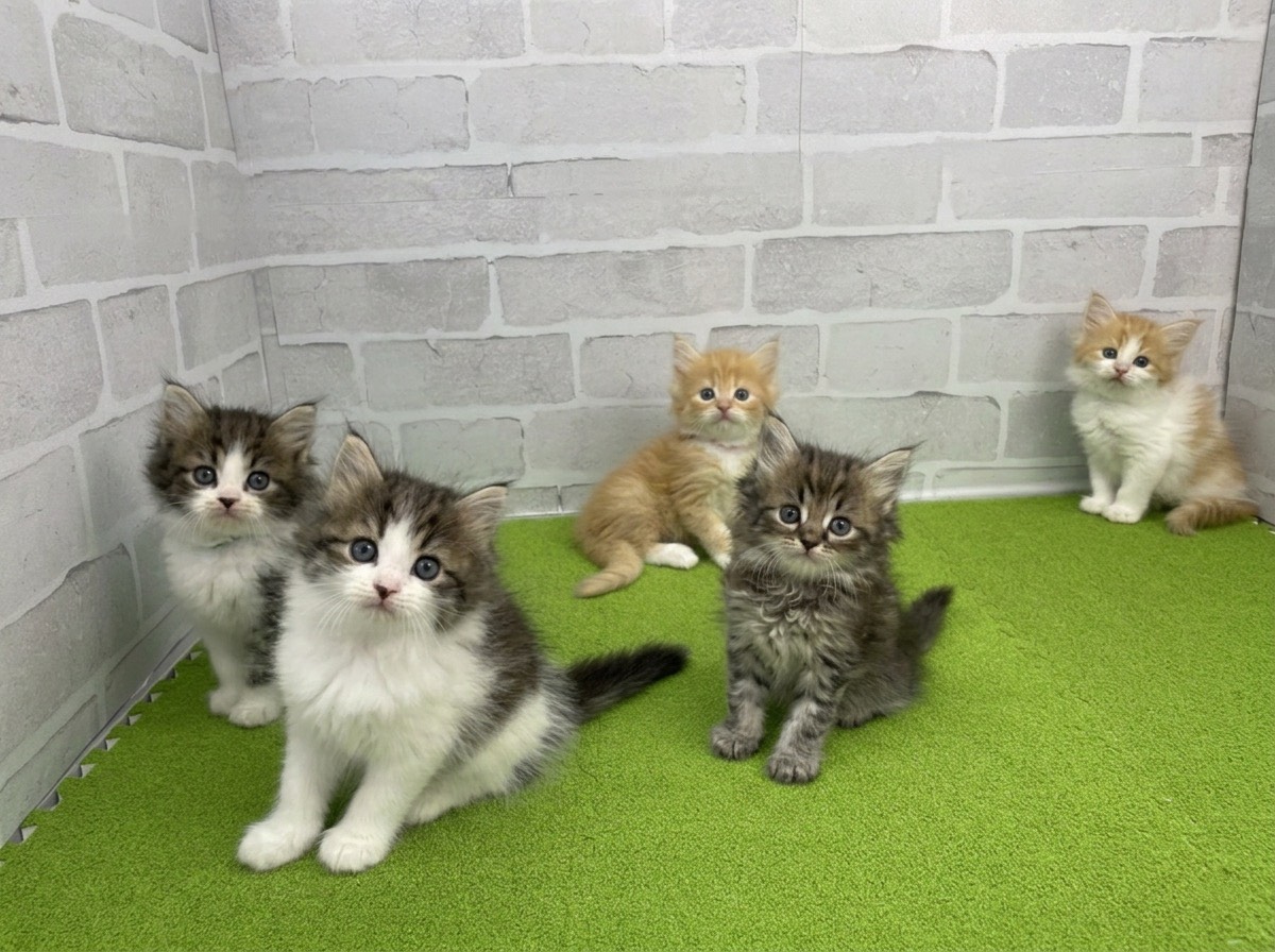 赤ちゃん写真2-3