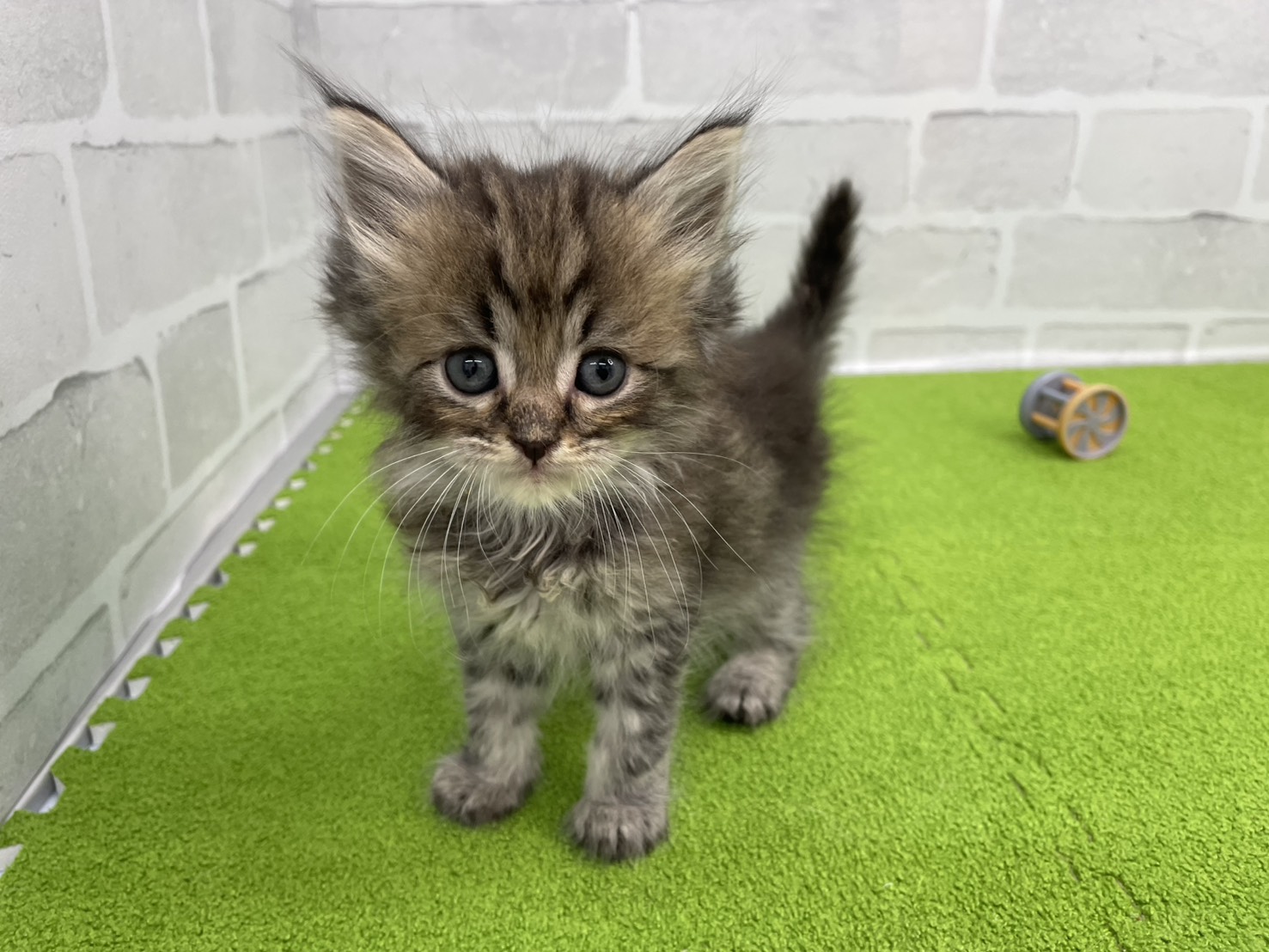 赤ちゃん写真2-1