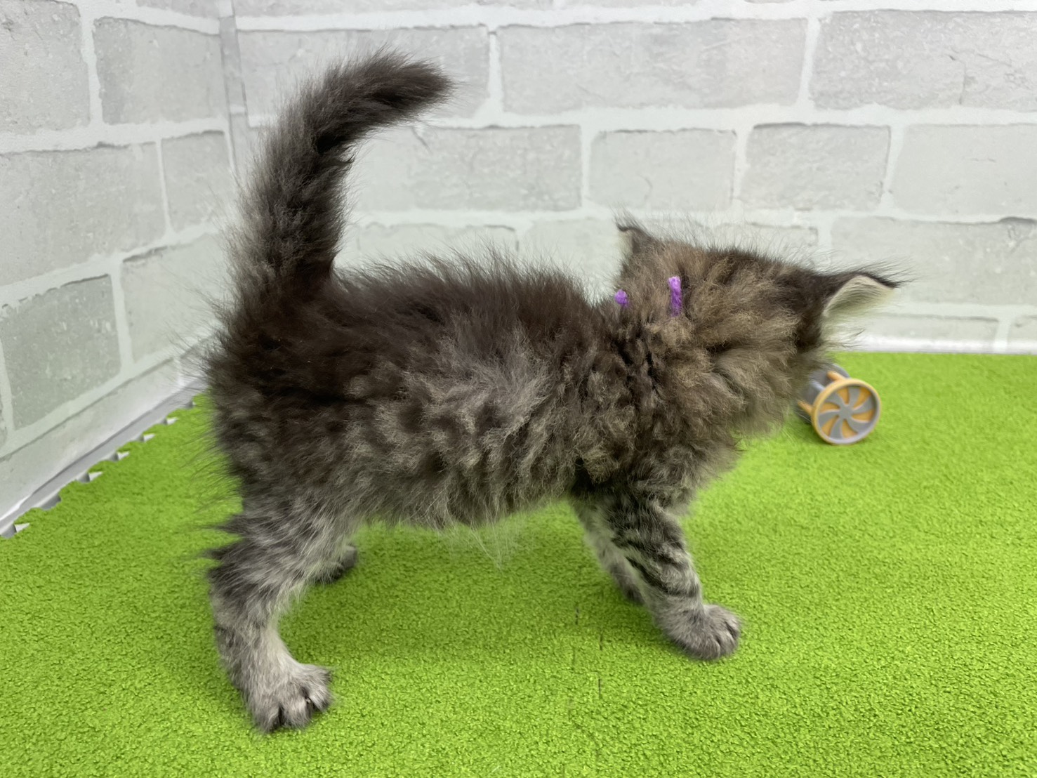 赤ちゃん写真2-2