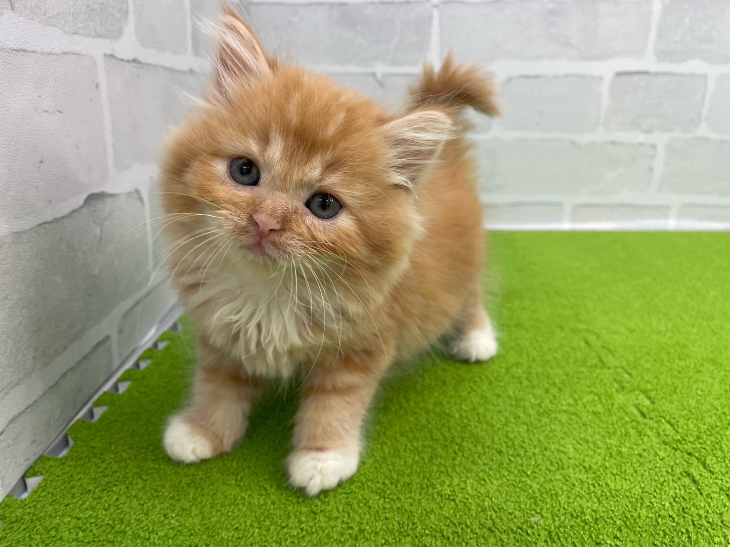 赤ちゃん写真2-1