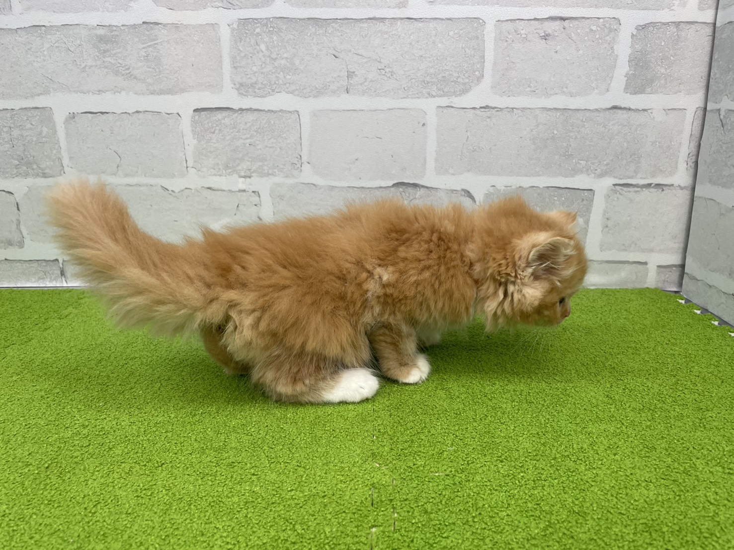 赤ちゃん写真2-2