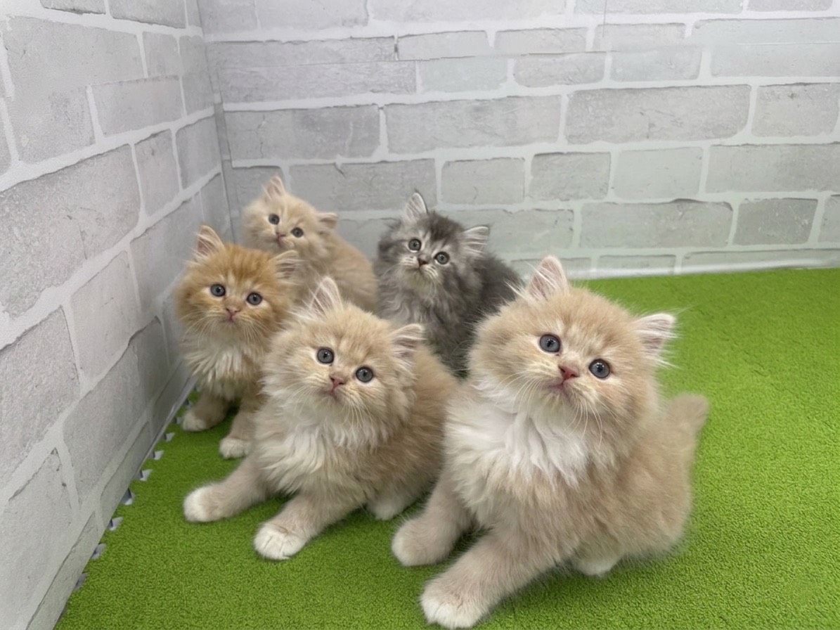 赤ちゃん写真2-3