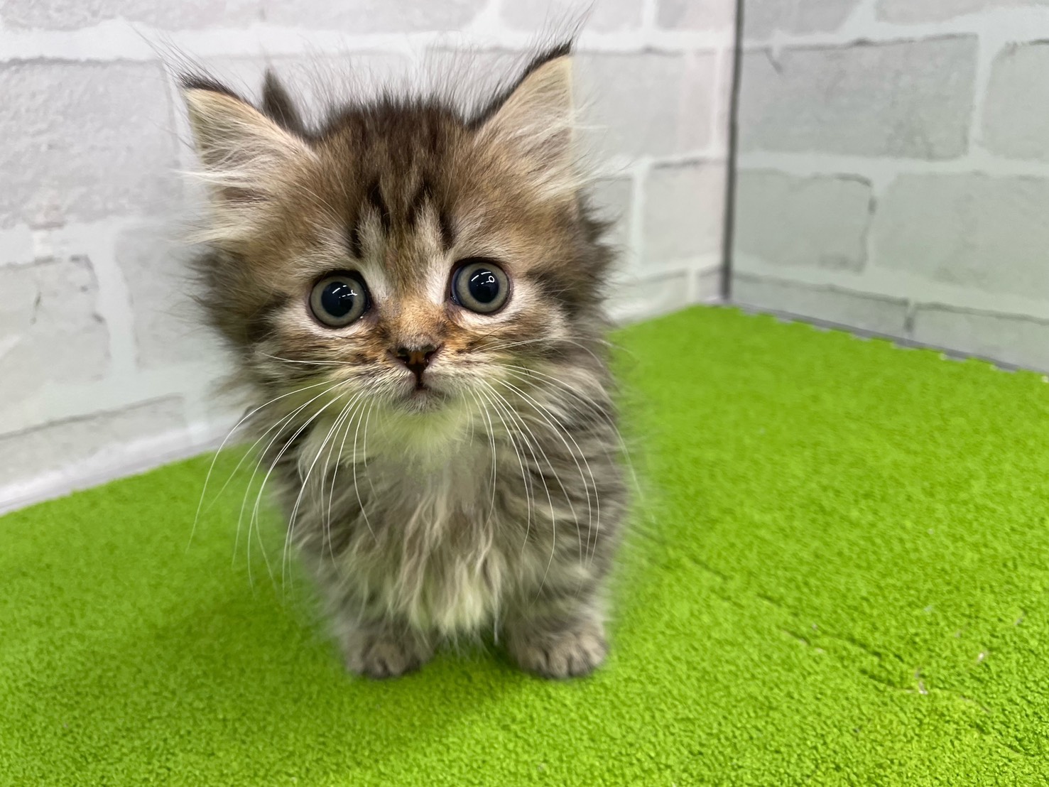 赤ちゃん写真2-1