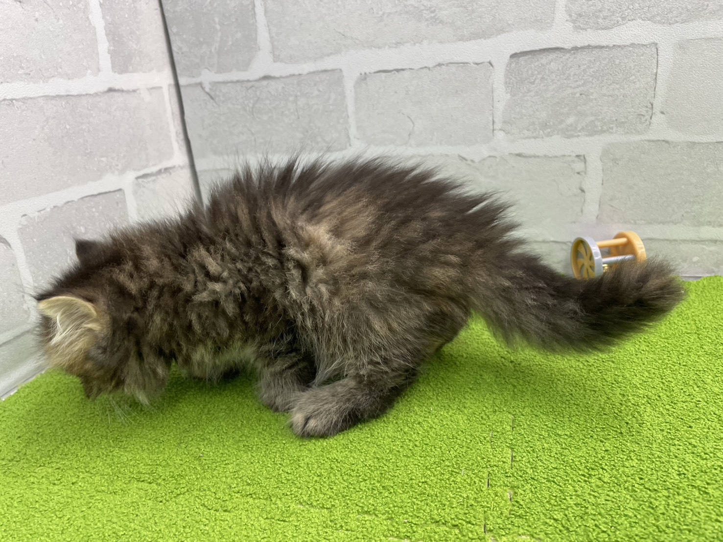 赤ちゃん写真2-2