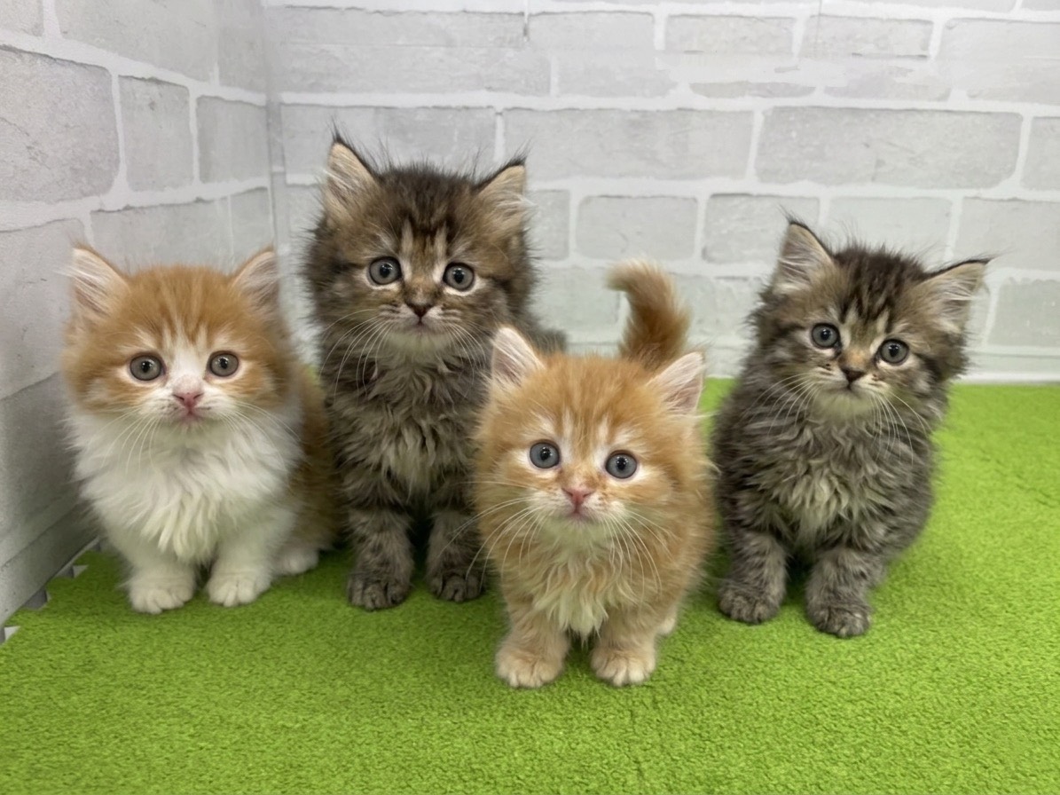 赤ちゃん写真2-3