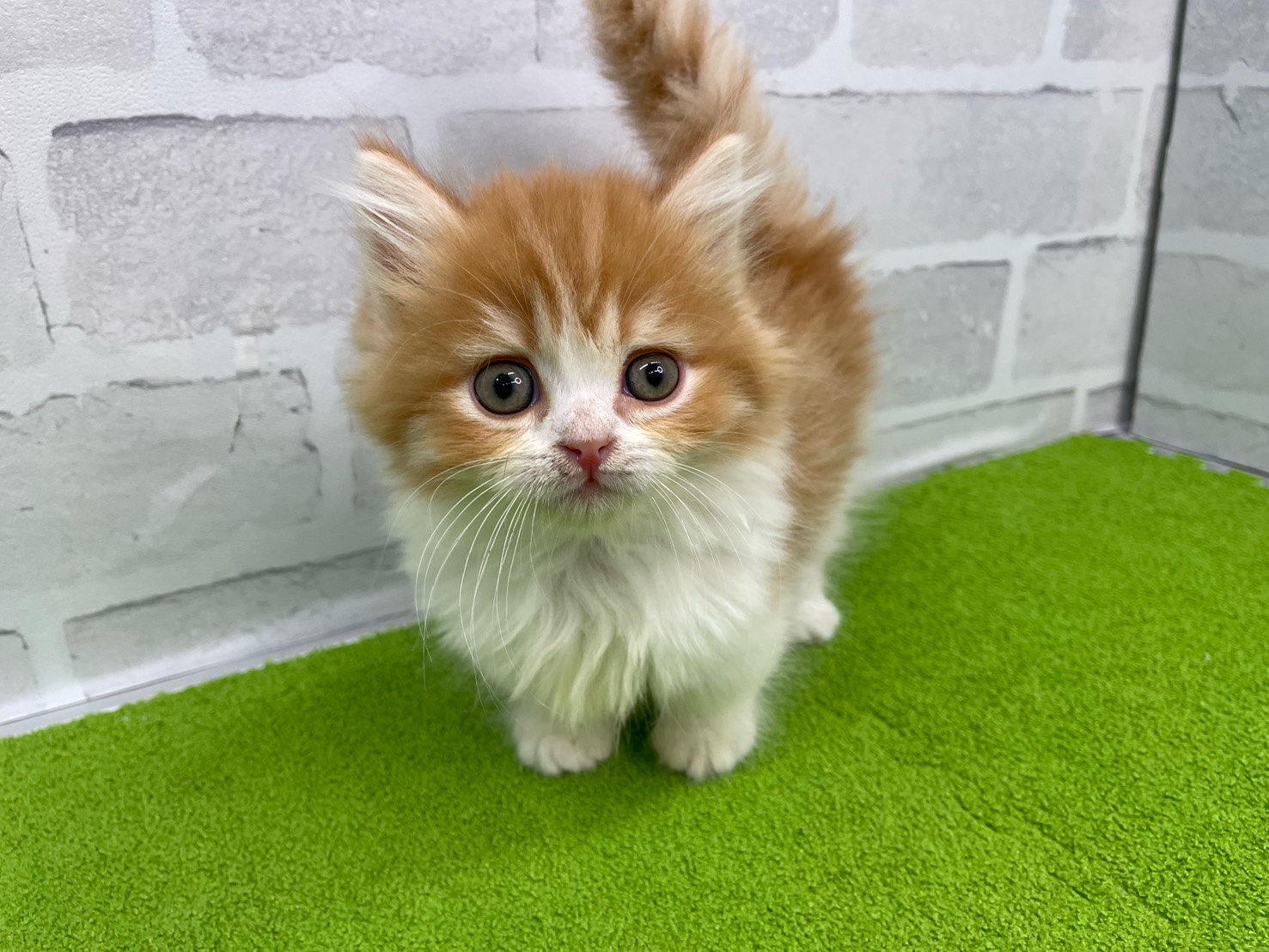 赤ちゃん写真2-1