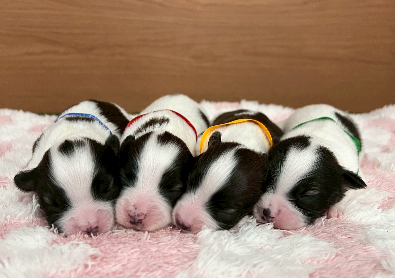 赤ちゃん写真1-3