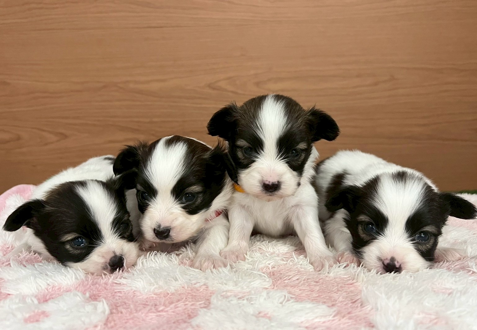 赤ちゃん写真2-3