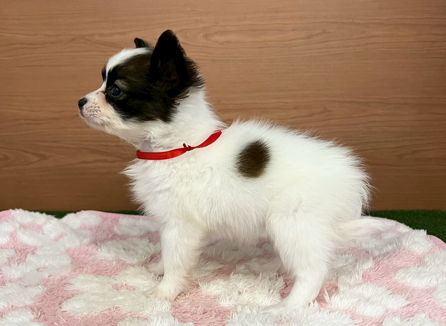 赤ちゃん写真3-2