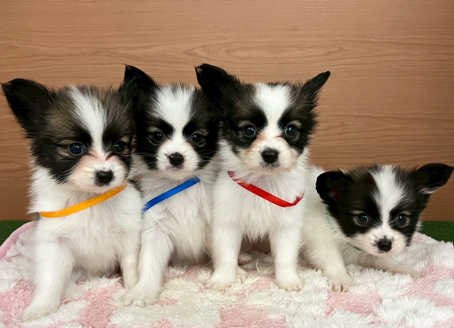 赤ちゃん写真3-3