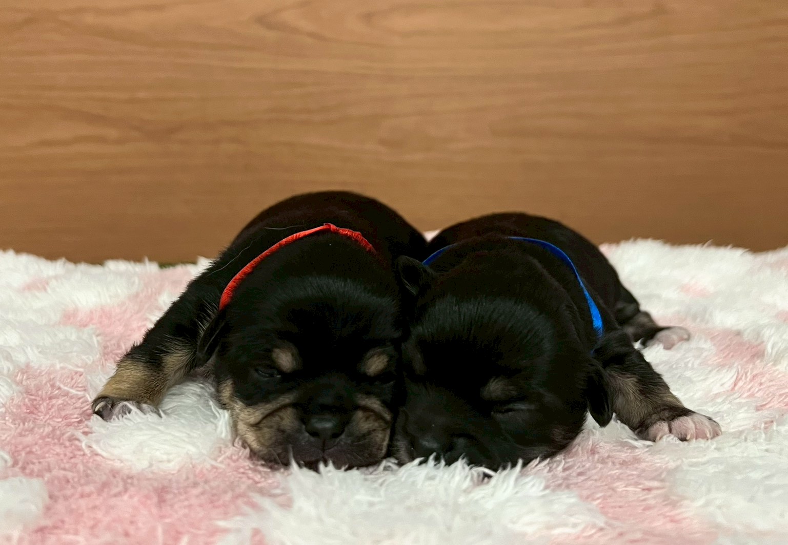 赤ちゃん写真1-3