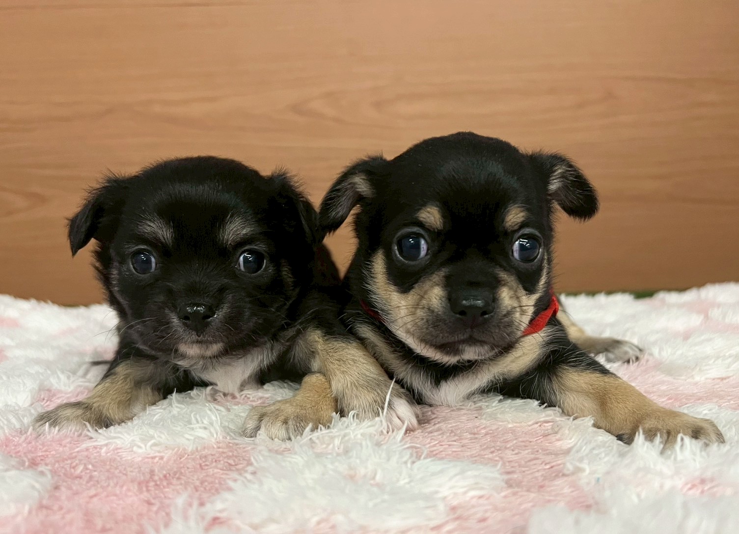 赤ちゃん写真2-3