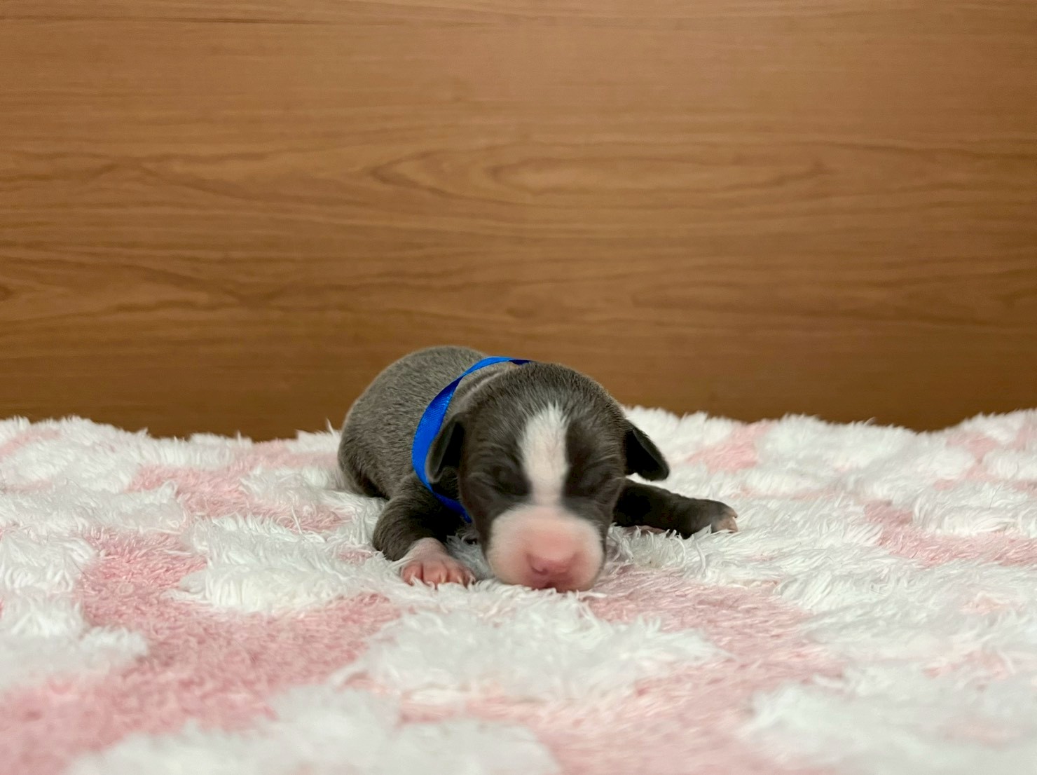 赤ちゃん写真1-1