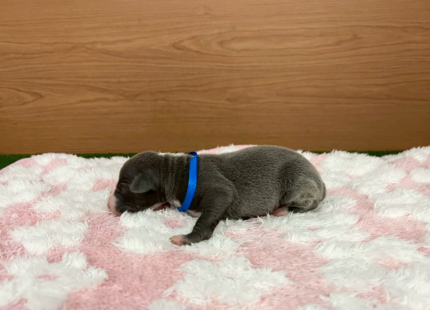 赤ちゃん写真1-2