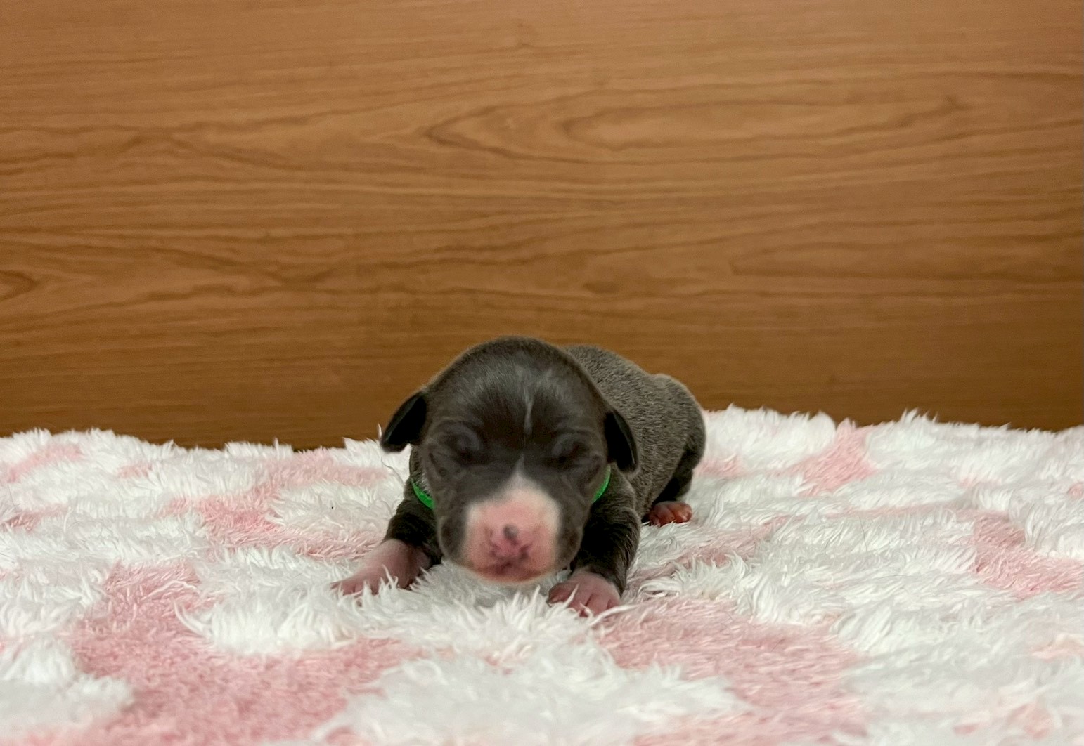 赤ちゃん写真1-1