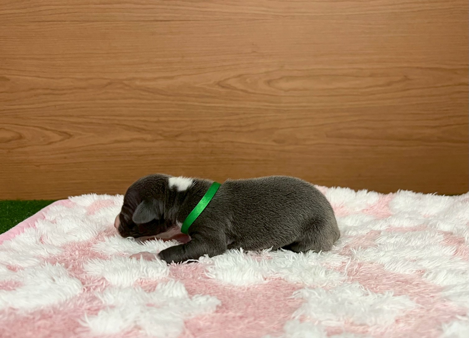 赤ちゃん写真1-2