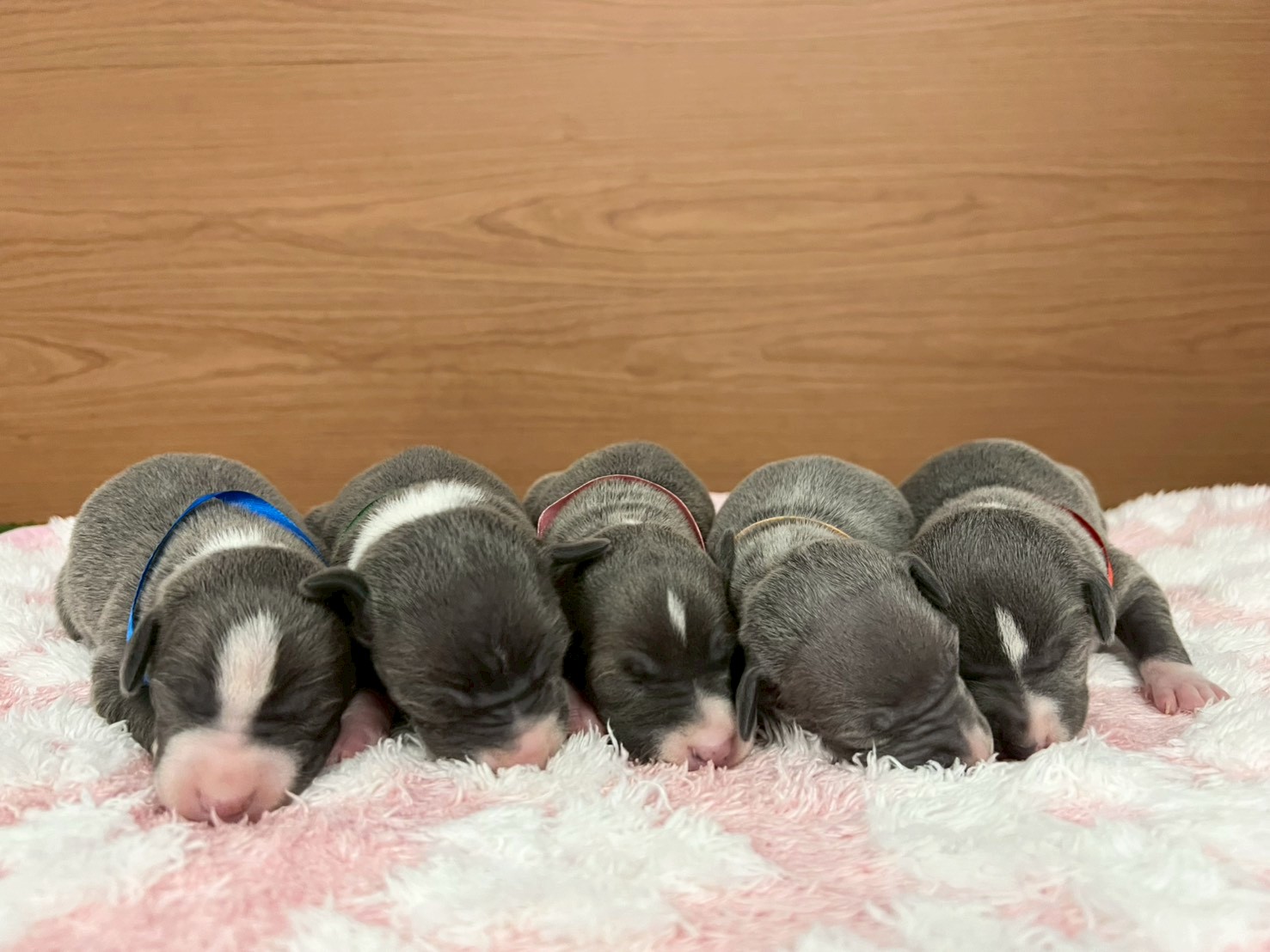 赤ちゃん写真1-3