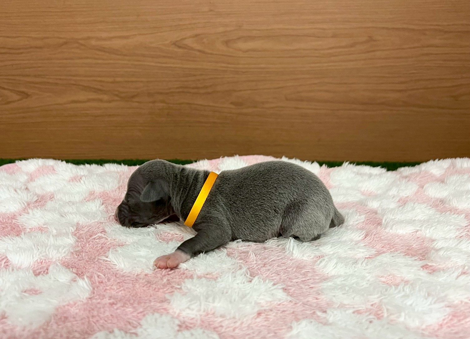 赤ちゃん写真1-2