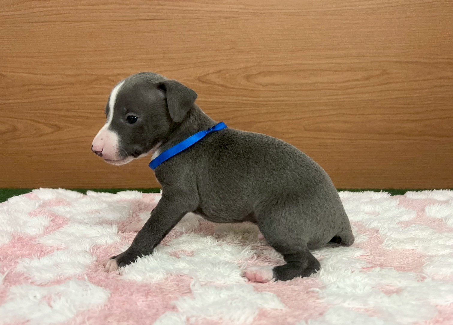 赤ちゃん写真2-2