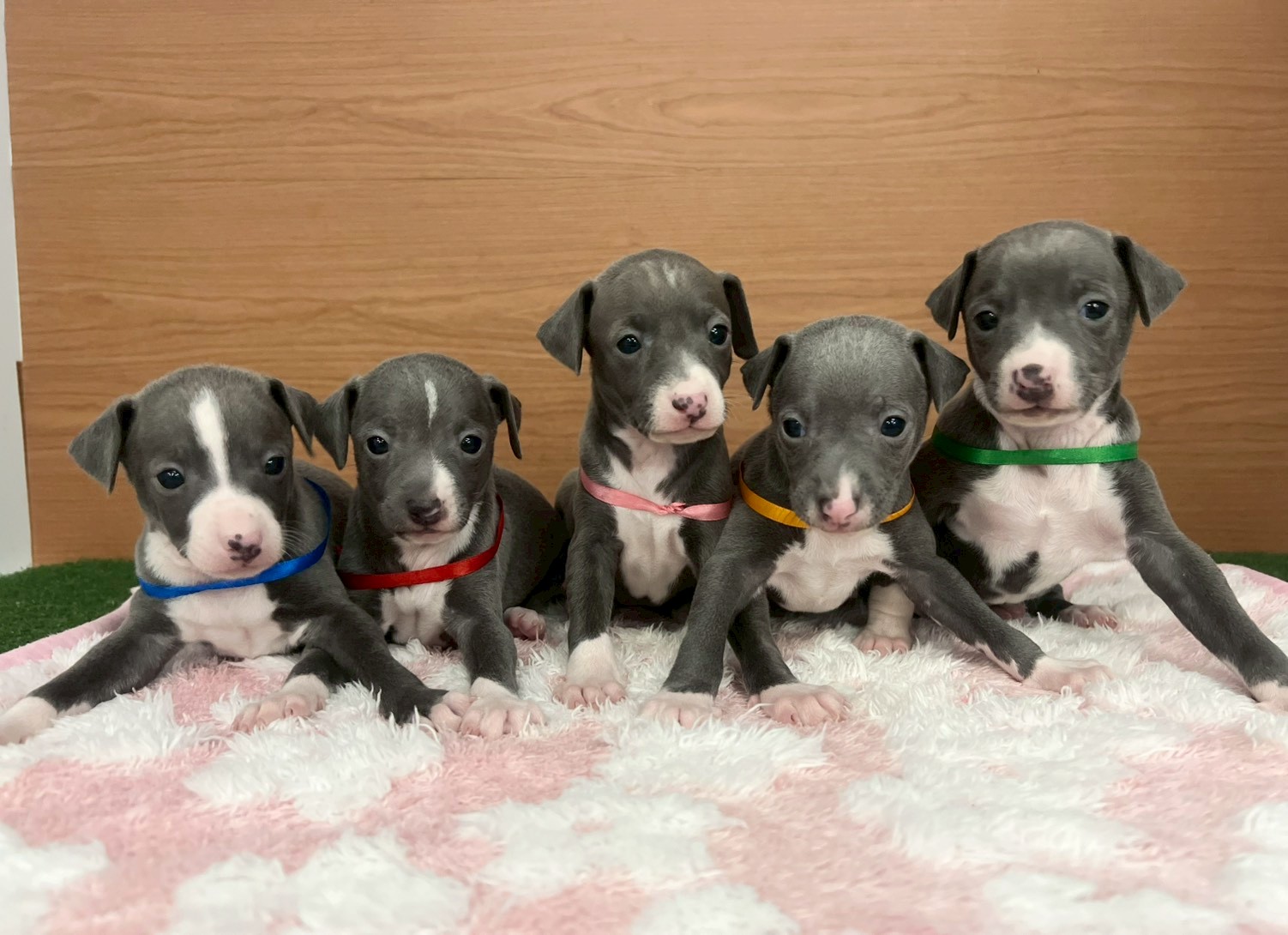 赤ちゃん写真2-3