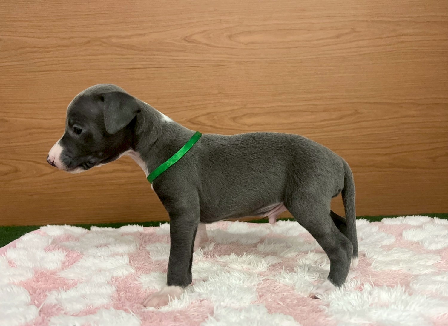 赤ちゃん写真2-2