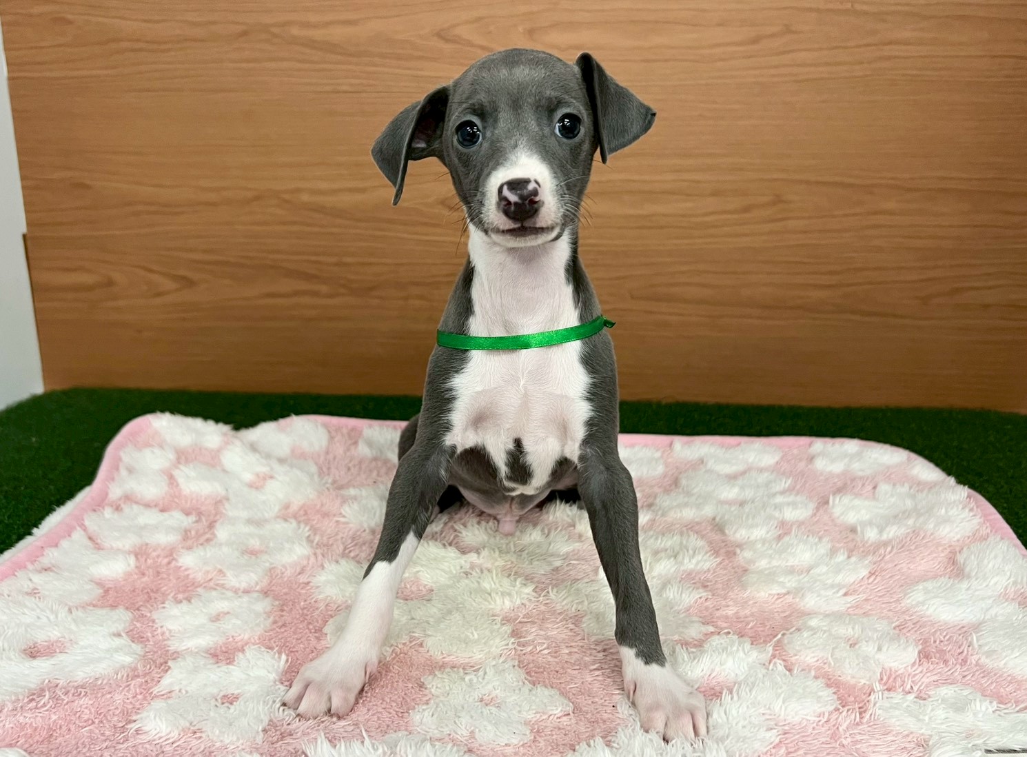 赤ちゃん写真3-1