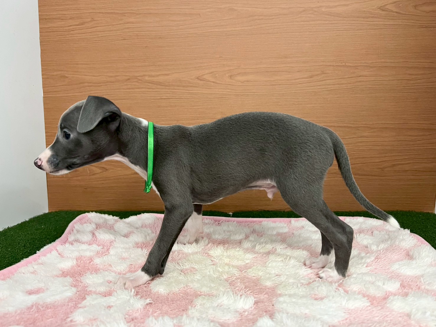 赤ちゃん写真3-2