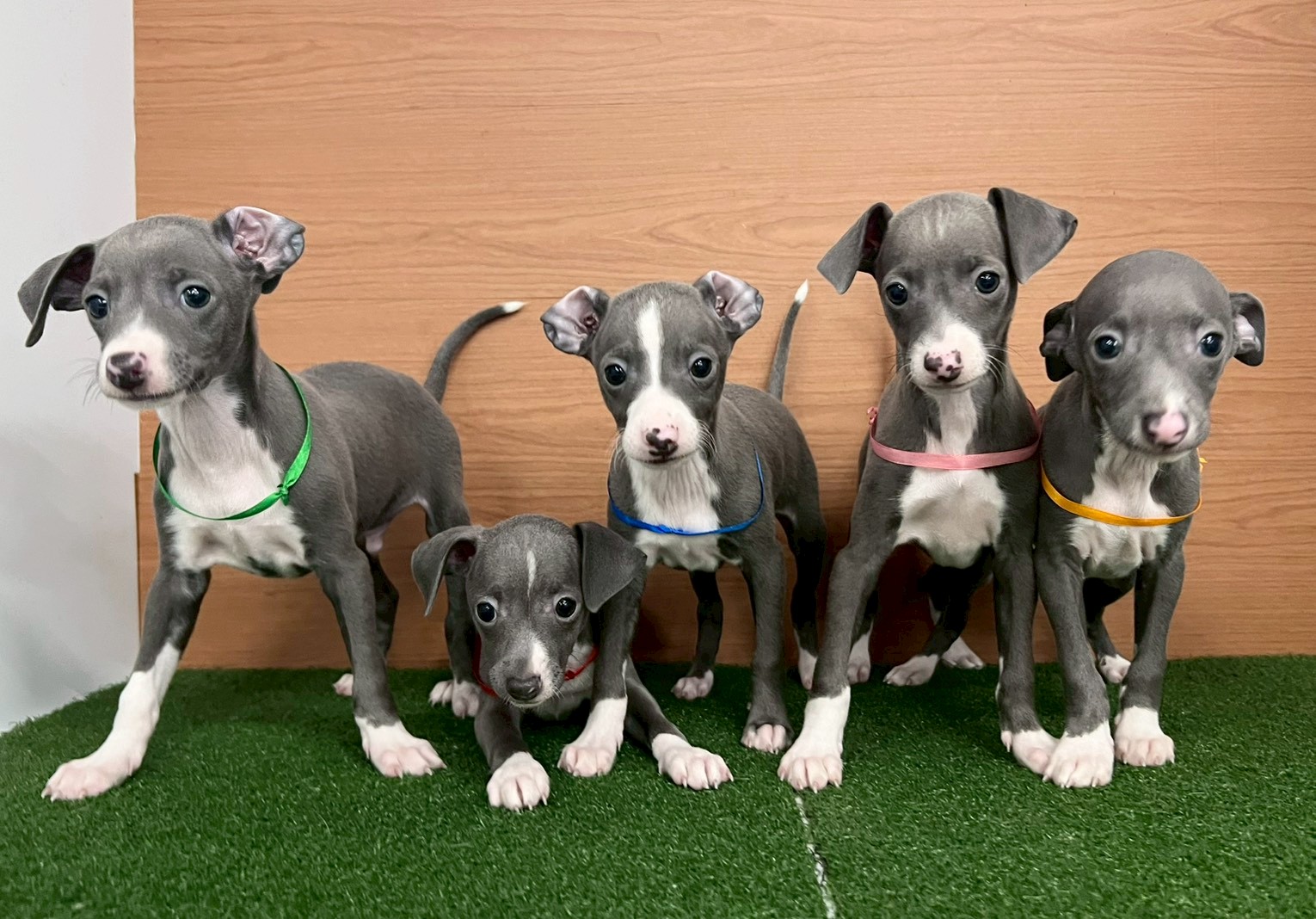 赤ちゃん写真3-3