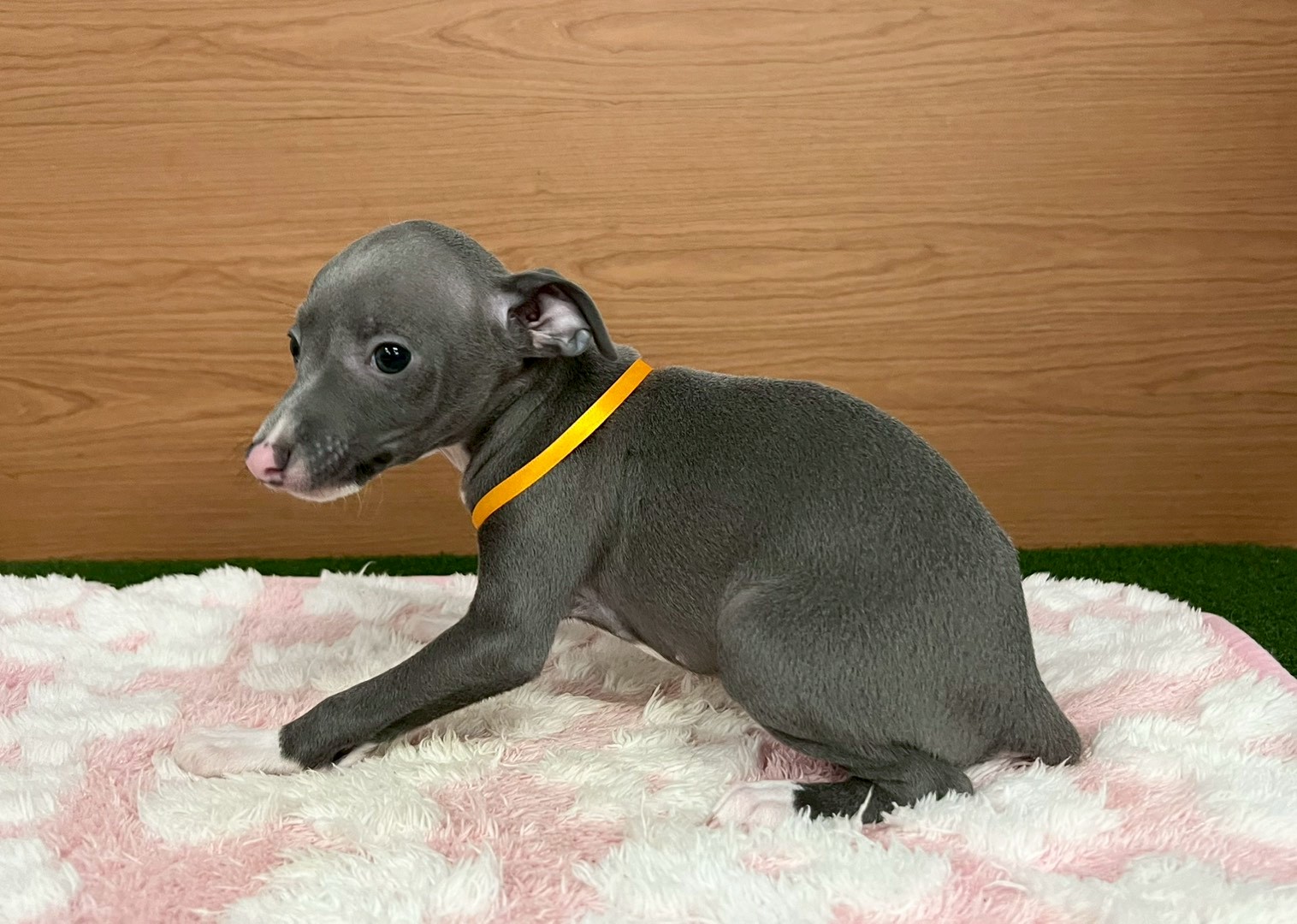 赤ちゃん写真3-2