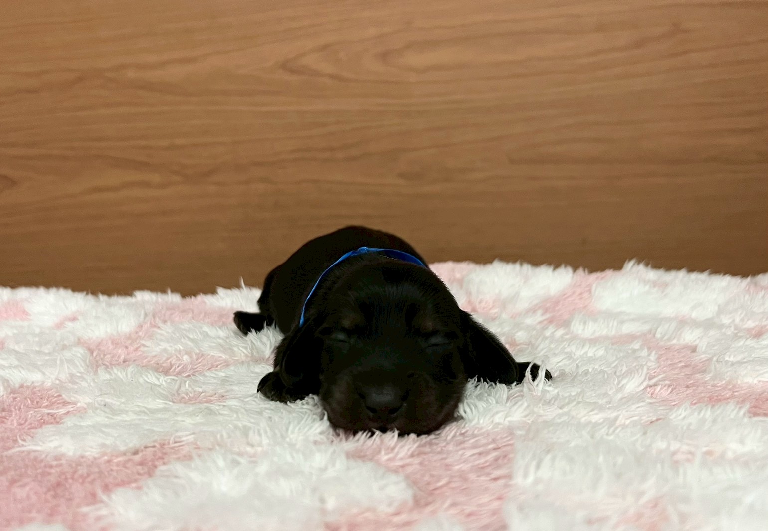 赤ちゃん写真1-1