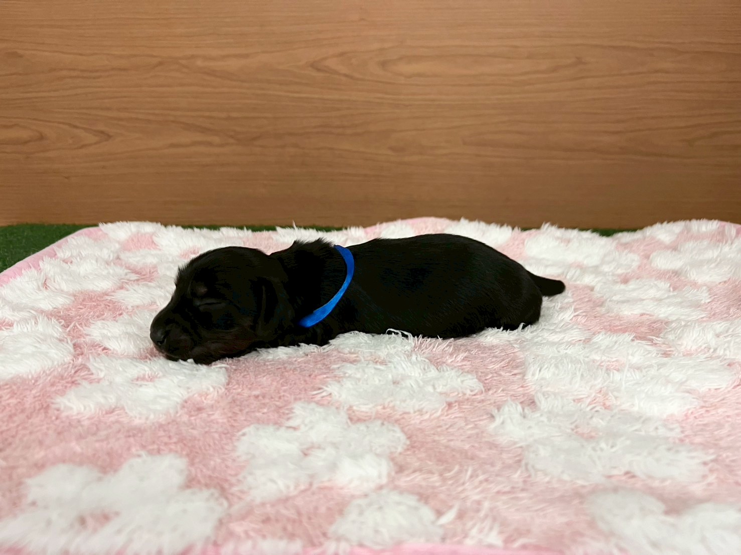 赤ちゃん写真1-2