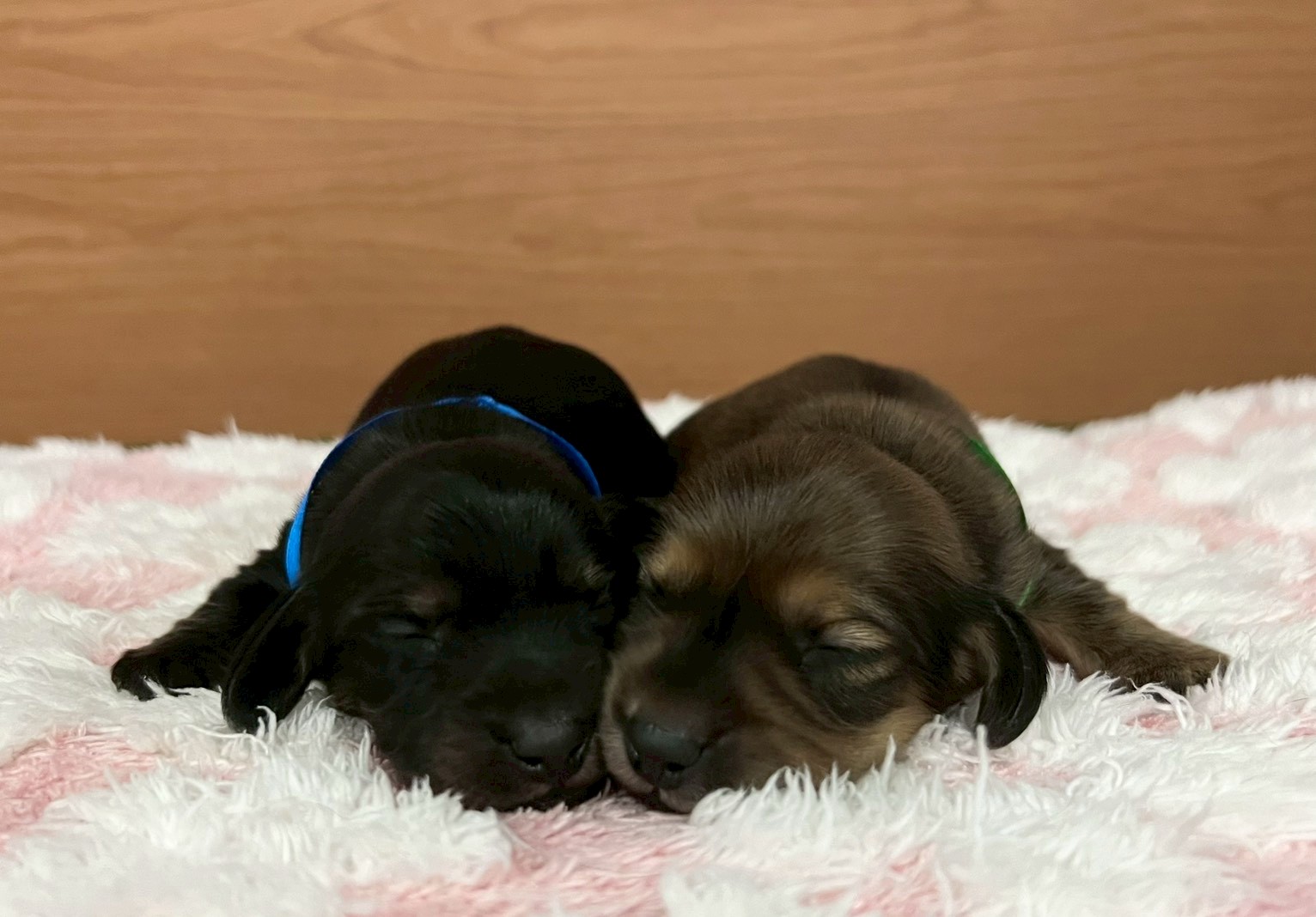 赤ちゃん写真1-3