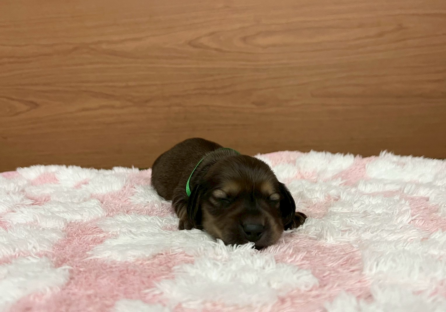 赤ちゃん写真1-1