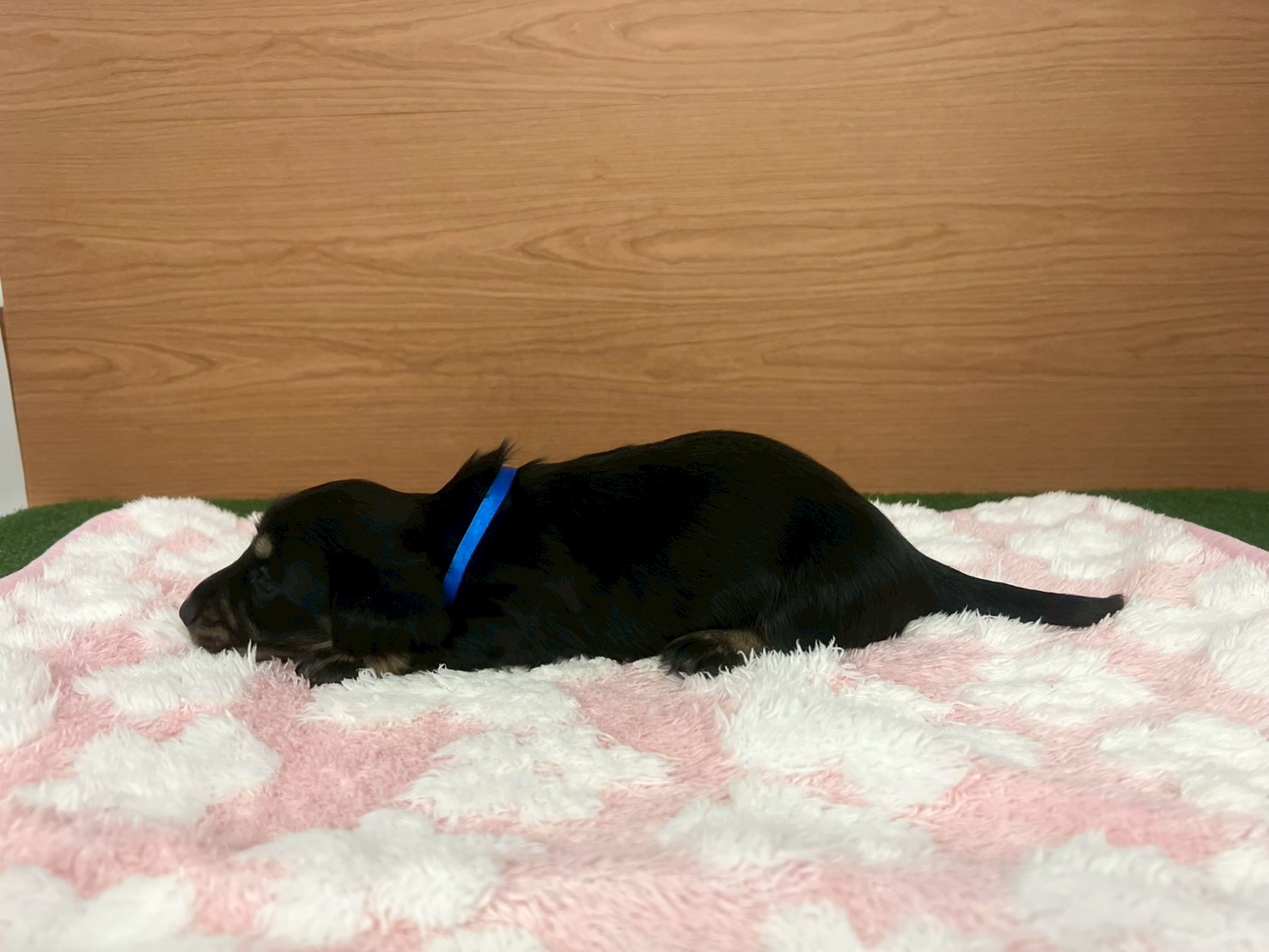 赤ちゃん写真2-2