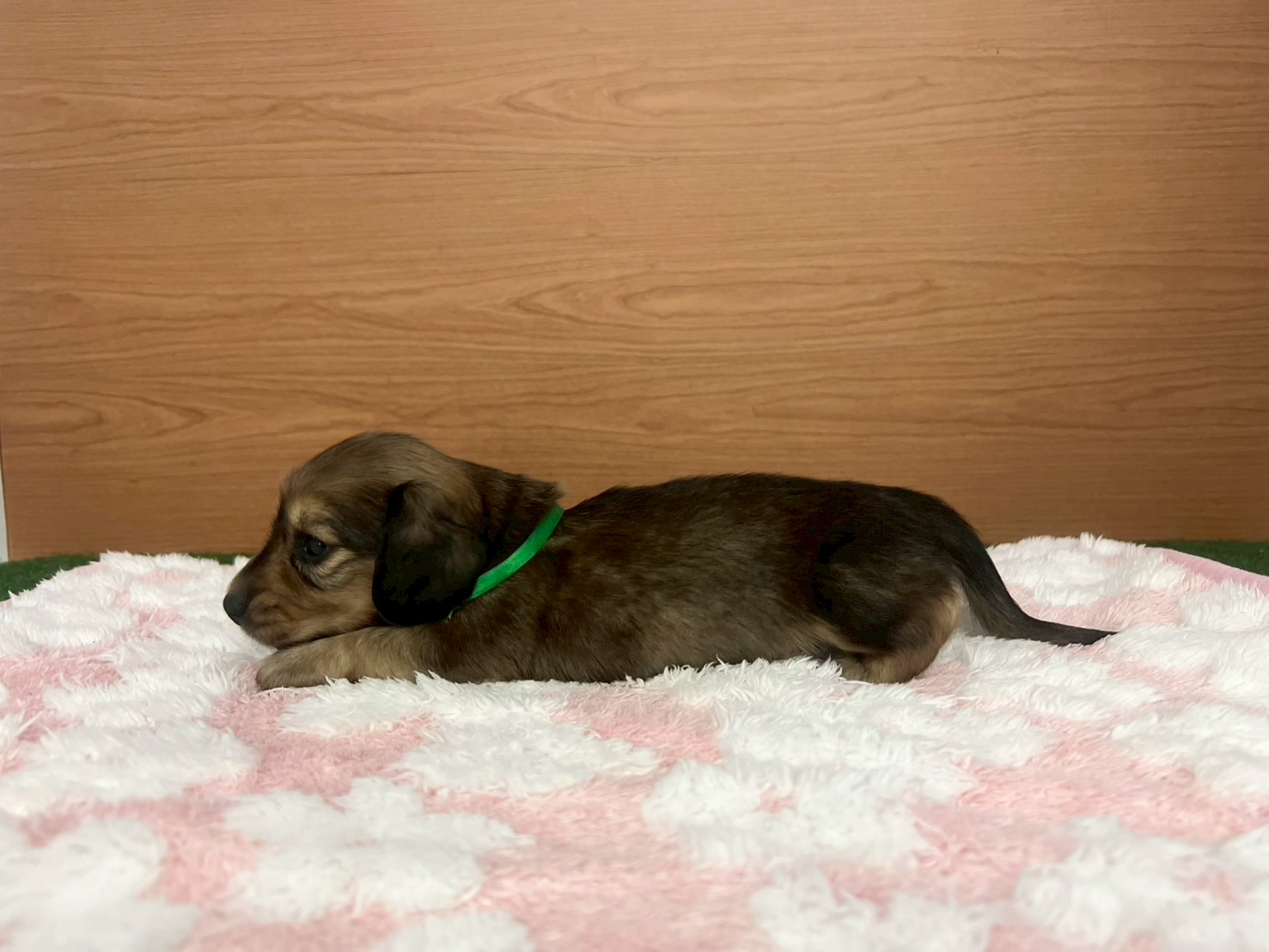 赤ちゃん写真2-2